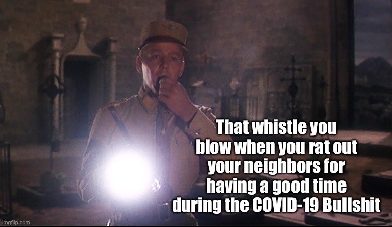 Snitches | That whistle you blow when you rat out your neighbors for having a good time during the COVID-19 Bullshit | image tagged in covid-19,nazis,freedom,hoax | made w/ Imgflip meme maker