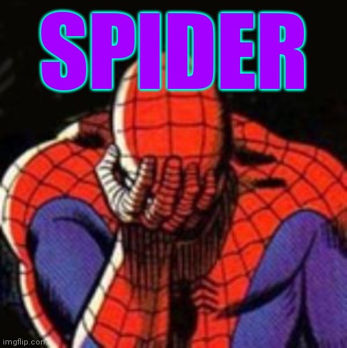 Sad Spiderman Meme | SPIDER | image tagged in memes,sad spiderman,spiderman | made w/ Imgflip meme maker