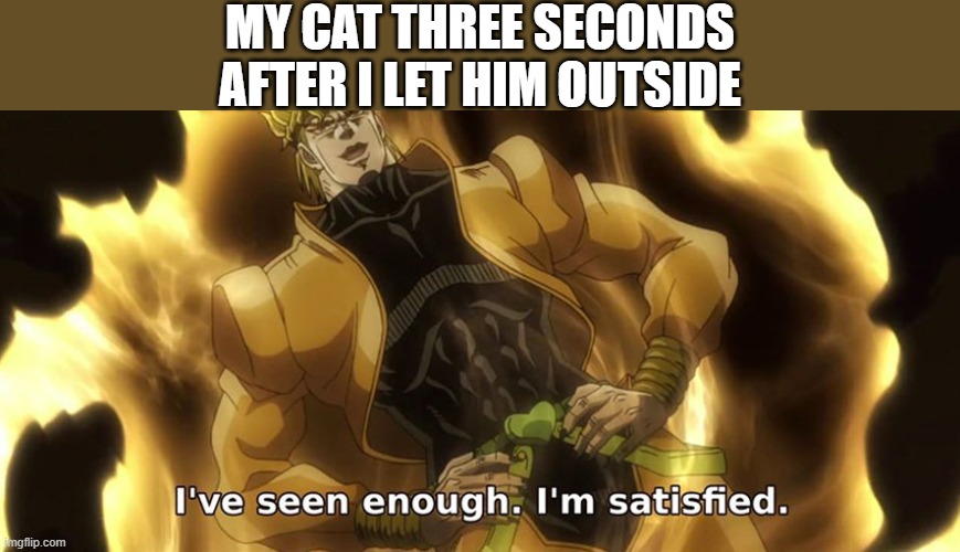 I've seen enough i'm satisfied. | MY CAT THREE SECONDS AFTER I LET HIM OUTSIDE | image tagged in i've seen enough i'm satisfied,i'm 15 so don't try it,who reads these | made w/ Imgflip meme maker