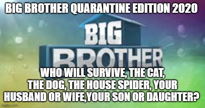 Big Brother | BIG BROTHER QUARANTINE EDITION 2020; WHO WILL SURVIVE, THE CAT, THE DOG, THE HOUSE SPIDER, YOUR HUSBAND OR WIFE,YOUR SON OR DAUGHTER? | image tagged in funny,big brother | made w/ Imgflip meme maker