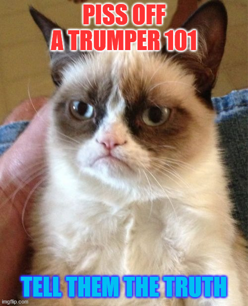 Trumpers | PISS OFF A TRUMPER 101; TELL THEM THE TRUTH | image tagged in memes,grumpy cat,democrat,republican | made w/ Imgflip meme maker
