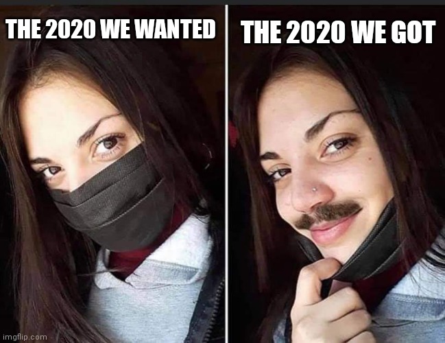 2020 Banboozled | THE 2020 WE GOT; THE 2020 WE WANTED | image tagged in 2020,bamboozled,its a trap | made w/ Imgflip meme maker