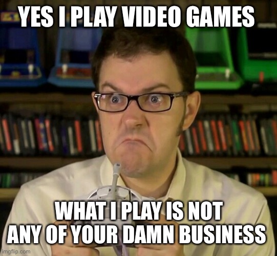 Angry Video Game Nerd | YES I PLAY VIDEO GAMES; WHAT I PLAY IS NOT ANY OF YOUR DAMN BUSINESS | image tagged in angry video game nerd | made w/ Imgflip meme maker