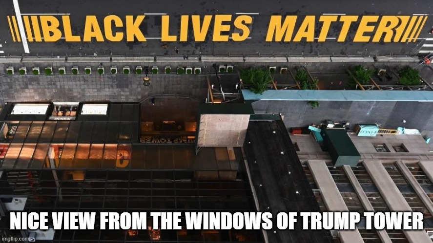 Trump Tower Does Not Matter | NICE VIEW FROM THE WINDOWS OF TRUMP TOWER | image tagged in black lives matter on fifth ave ny,black lives matter,george floyd,blm,trump tower | made w/ Imgflip meme maker