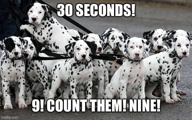 dalmatians | 30 SECONDS! 9! COUNT THEM! NINE! | image tagged in dalmatians | made w/ Imgflip meme maker