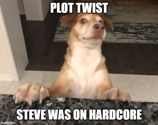 Plot twist | PLOT TWIST STEVE WAS ON HARDCORE | image tagged in plot twist | made w/ Imgflip meme maker