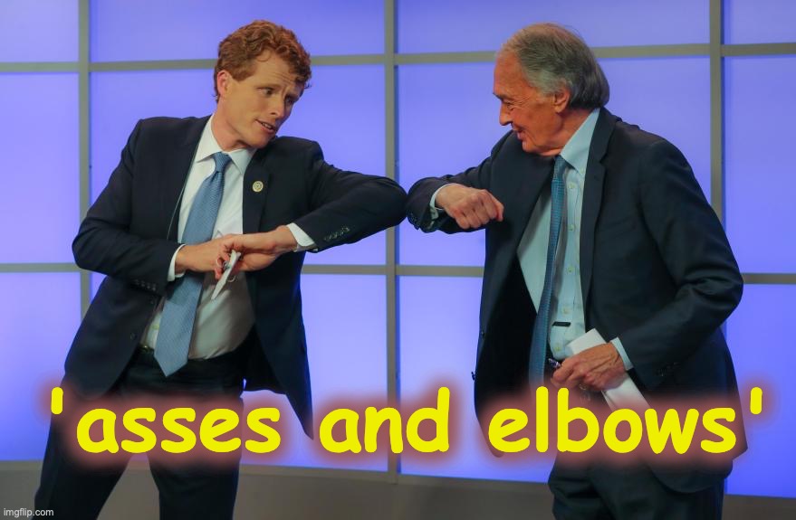 MA Democratic Senate race debate...  sometimes an  expression just fits perfectly. | 'asses and elbows' | image tagged in kennedy,massachusetts,senate,debate | made w/ Imgflip meme maker