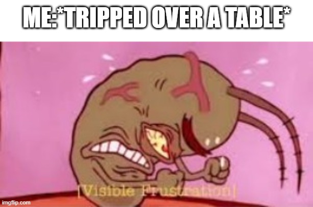 Visible Frustration | ME:*TRIPPED OVER A TABLE* | image tagged in visible frustration,fun,memes,meme,funny | made w/ Imgflip meme maker