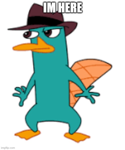 IM HERE | image tagged in perry | made w/ Imgflip meme maker
