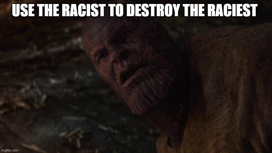 i used the stones to destroy the stones blank | USE THE RACIST TO DESTROY THE RACIEST | image tagged in i used the stones to destroy the stones blank | made w/ Imgflip meme maker