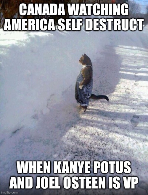 overalls cat | CANADA WATCHING AMERICA SELF DESTRUCT; WHEN KANYE POTUS AND JOEL OSTEEN IS VP | image tagged in american politics | made w/ Imgflip meme maker