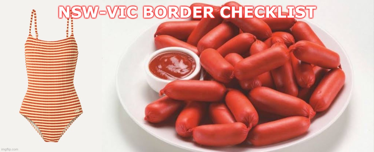 Covid-19 | NSW-VIC BORDER CHECKLIST | image tagged in border | made w/ Imgflip meme maker