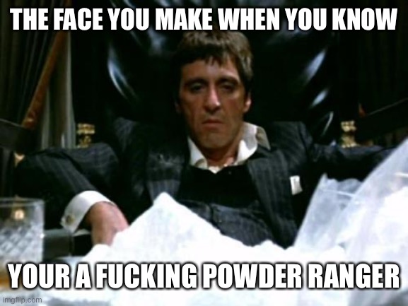 powder ranger | THE FACE YOU MAKE WHEN YOU KNOW; YOUR A FUCKING POWDER RANGER | image tagged in scarface cocaine | made w/ Imgflip meme maker