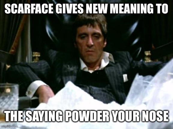 powder nose | SCARFACE GIVES NEW MEANING TO; THE SAYING POWDER YOUR NOSE | image tagged in scarface cocaine | made w/ Imgflip meme maker