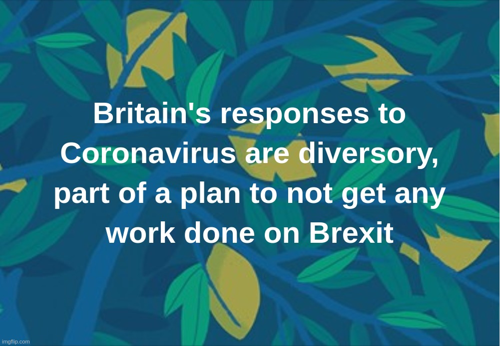 Britain's responses to Coronavirus are diversory, part of a plan to not get any work done on Brexit | image tagged in britain,brexit,diversory,coronavirus,covid-19,plan | made w/ Imgflip meme maker