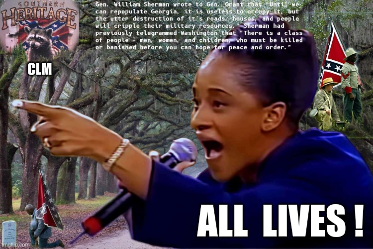 all lives | CLM; ALL  LIVES ! | image tagged in blm,lives matter,southern,confederate | made w/ Imgflip meme maker