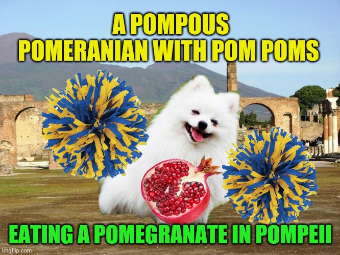 Pom pom pom pom pom, pom pom! | A POMPOUS POMERANIAN WITH POM POMS; EATING A POMEGRANATE IN POMPEII | image tagged in pomeranian,pompeii,stupid memes | made w/ Imgflip meme maker