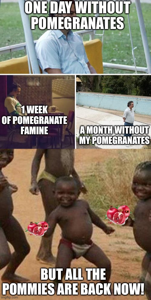 MY POMMIES ARE BACK! | ONE DAY WITHOUT POMEGRANATES; 1 WEEK OF POMEGRANATE FAMINE; A MONTH WITHOUT MY POMEGRANATES; BUT ALL THE POMMIES ARE BACK NOW! | image tagged in memes,third world success kid,sad pablo escobar | made w/ Imgflip meme maker