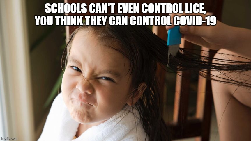 lice-19 | SCHOOLS CAN'T EVEN CONTROL LICE, YOU THINK THEY CAN CONTROL COVID-19 | image tagged in political meme | made w/ Imgflip meme maker