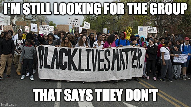 black lives matter | I'M STILL LOOKING FOR THE GROUP; THAT SAYS THEY DON'T | image tagged in black lives matter | made w/ Imgflip meme maker