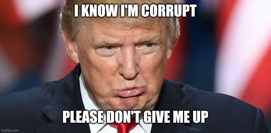 Crocodile Tears tRump | I KNOW I'M CORRUPT; PLEASE DON'T GIVE ME UP | image tagged in donald trump,trump,president,politics,political | made w/ Imgflip meme maker