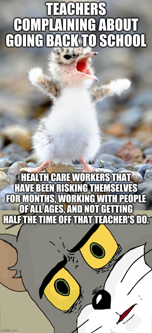 My aunt has two children under the age of two and is going back to work at a senior citizens home next week to a hospital where  | TEACHERS COMPLAINING ABOUT GOING BACK TO SCHOOL; HEALTH CARE WORKERS THAT HAVE BEEN RISKING THEMSELVES FOR MONTHS, WORKING WITH PEOPLE OF ALL AGES, AND NOT GETTING HALF THE TIME OFF THAT TEACHER'S DO. | image tagged in complainer bird,memes,unsettled tom | made w/ Imgflip meme maker