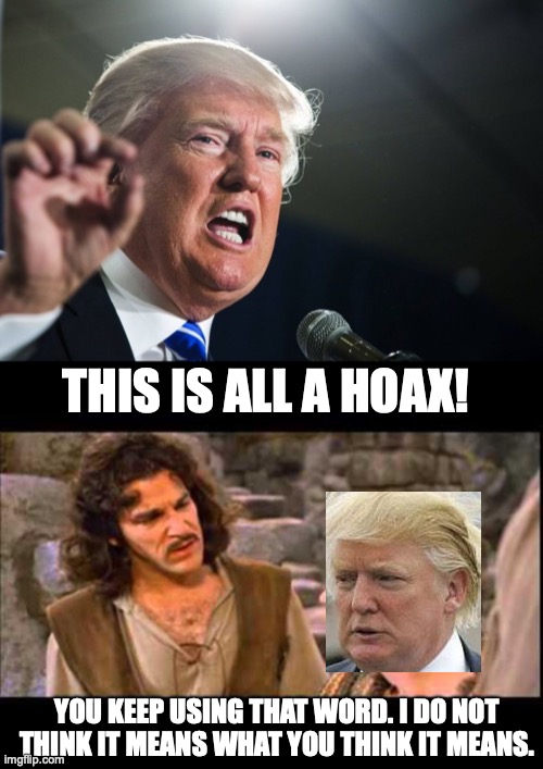 This as all a hoax! | THIS IS ALL A HOAX! YOU KEEP USING THAT WORD. I DO NOT THINK IT MEANS WHAT YOU THINK IT MEANS. | image tagged in inigo montoya,donald trump,hoax,inconceivable,election 2020,i do not think that means what you think it means | made w/ Imgflip meme maker