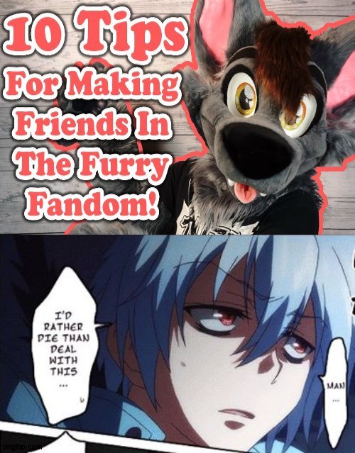 (why is this violating the term tell me) | image tagged in anime,servamp,furry | made w/ Imgflip meme maker