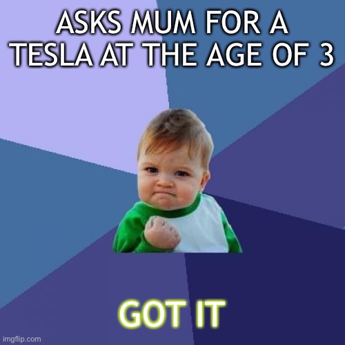 Success Kid Meme | ASKS MUM FOR A TESLA AT THE AGE OF 3; GOT IT | image tagged in memes,success kid | made w/ Imgflip meme maker