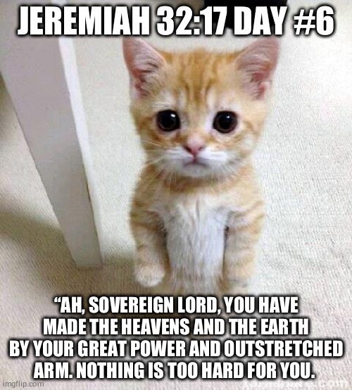 Cute Cat Meme | JEREMIAH 32:17 DAY #6; “AH, SOVEREIGN LORD, YOU HAVE MADE THE HEAVENS AND THE EARTH BY YOUR GREAT POWER AND OUTSTRETCHED ARM. NOTHING IS TOO HARD FOR YOU. | image tagged in memes,cute cat | made w/ Imgflip meme maker