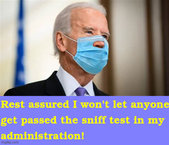 Biden sniff test | image tagged in joe biden | made w/ Imgflip meme maker