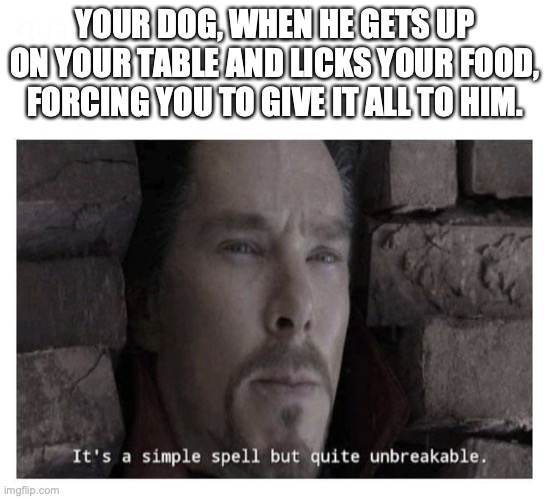 It’s a simple spell but quite unbreakable | YOUR DOG, WHEN HE GETS UP ON YOUR TABLE AND LICKS YOUR FOOD, FORCING YOU TO GIVE IT ALL TO HIM. | image tagged in its a simple spell but quite unbreakable | made w/ Imgflip meme maker