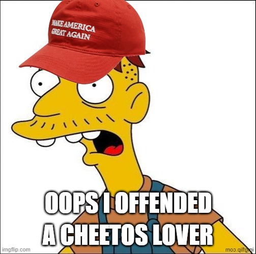 for those looking to slap a MAGA with a meme ON Social media | A CHEETOS LOVER; OOPS I OFFENDED | image tagged in some kind of maga moron | made w/ Imgflip meme maker