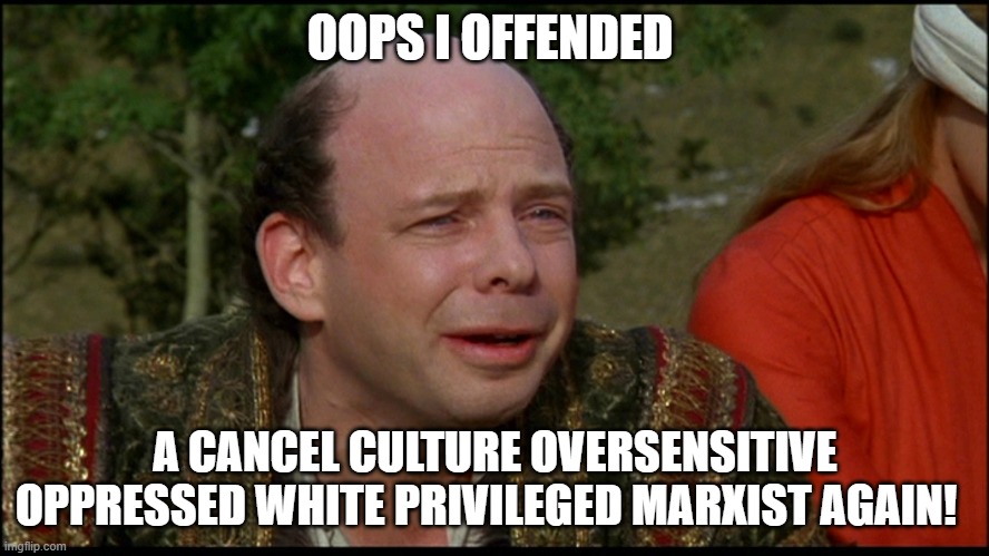 PROPAGANDA FACTORY'S | OOPS I OFFENDED; A CANCEL CULTURE OVERSENSITIVE OPPRESSED WHITE PRIVILEGED MARXIST AGAIN! | image tagged in princess bride morons | made w/ Imgflip meme maker