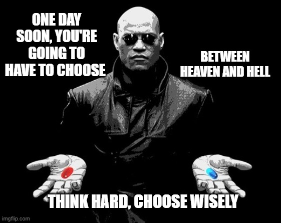 the red and blue pill matrix