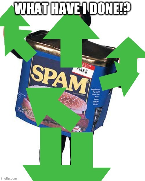 SPAMMMMMMMMMMMMMMMMMMMMMMMMMMMMMMMMMMMM | WHAT HAVE I DONE!? | image tagged in spam mcgee | made w/ Imgflip meme maker