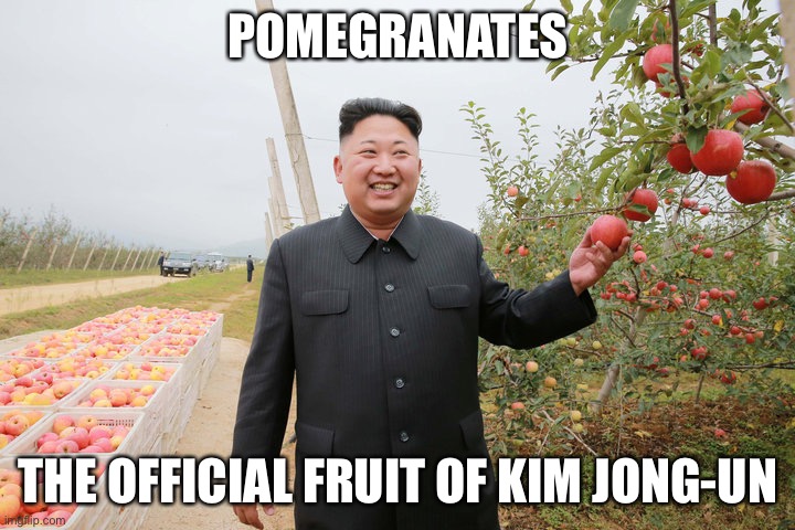 kim jong-un pomegranate | POMEGRANATES; THE OFFICIAL FRUIT OF KIM JONG-UN | image tagged in kim jong-un pomegranate | made w/ Imgflip meme maker