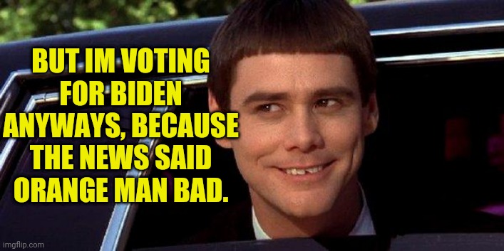 dumb and dumber | BUT IM VOTING FOR BIDEN ANYWAYS, BECAUSE THE NEWS SAID ORANGE MAN BAD. | image tagged in dumb and dumber | made w/ Imgflip meme maker