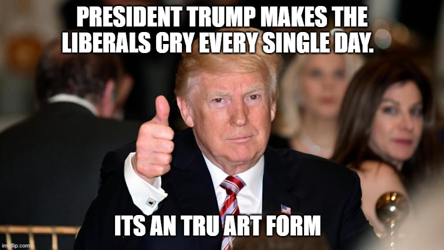  PRESIDENT TRUMP MAKES THE LIBERALS CRY EVERY SINGLE DAY. ITS AN TRU ART FORM | image tagged in president trump,crying liberals | made w/ Imgflip meme maker