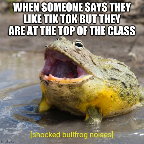 Shocked bullfrog noises | WHEN SOMEONE SAYS THEY LIKE TIK TOK BUT THEY ARE AT THE TOP OF THE CLASS | image tagged in shocked bullfrog noises | made w/ Imgflip meme maker