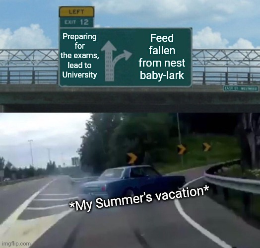 -The trials running over my forest walk. | Preparing for the exams, lead to University; Feed fallen from nest baby-lark; *My Summer's vacation* | image tagged in memes,left exit 12 off ramp,breastfeeding,bird box,wildlife,tech support | made w/ Imgflip meme maker