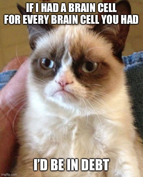 I’d Be In Debt | IF I HAD A BRAIN CELL FOR EVERY BRAIN CELL YOU HAD; I’D BE IN DEBT | image tagged in memes,grumpy cat | made w/ Imgflip meme maker