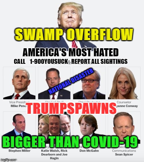 Swamped | SWAMP OVERFLOW; NATIONAL DISASTER; TRUMPSPAWNS; BIGGER THAN COVID-19 | image tagged in drain the swamp,drain the swamp trump,boardroom meeting suggestion,dank memes | made w/ Imgflip meme maker