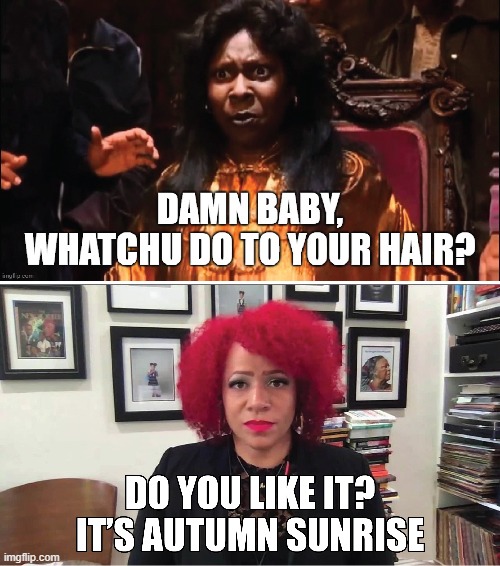 Girl look like a damn fool. | image tagged in nikole hannah,memes | made w/ Imgflip meme maker