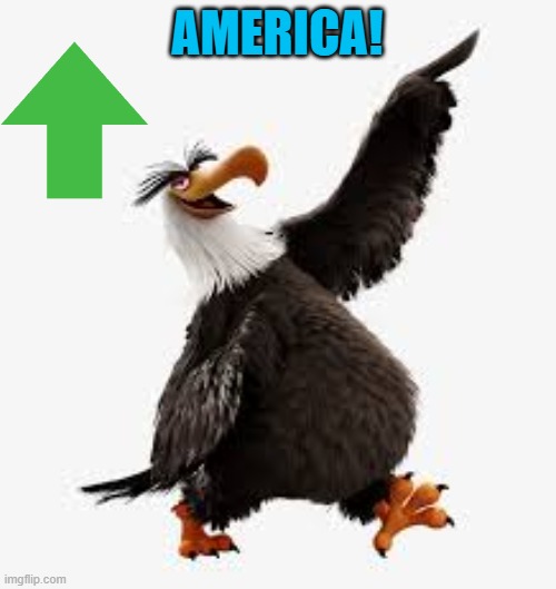 angry birds eagle | AMERICA! | image tagged in angry birds eagle | made w/ Imgflip meme maker