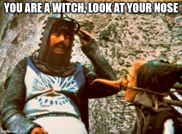 YOU ARE A WITCH, LOOK AT YOUR NOSE | made w/ Imgflip meme maker