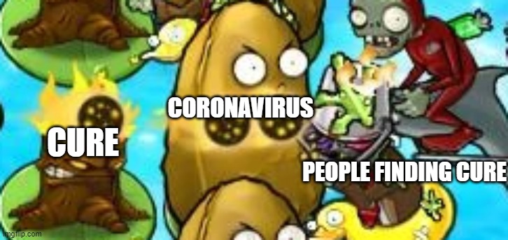 The cure | CORONAVIRUS; CURE; PEOPLE FINDING CURE | image tagged in covid-19,plants vs zombies | made w/ Imgflip meme maker