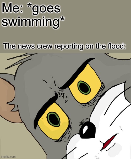 Again, idk |  Me: *goes swimming*; The news crew reporting on the flood: | image tagged in memes,unsettled tom | made w/ Imgflip meme maker