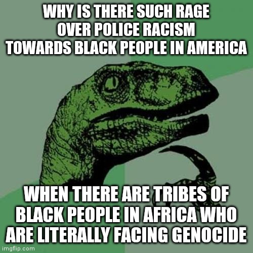 Perspective | WHY IS THERE SUCH RAGE OVER POLICE RACISM TOWARDS BLACK PEOPLE IN AMERICA; WHEN THERE ARE TRIBES OF BLACK PEOPLE IN AFRICA WHO ARE LITERALLY FACING GENOCIDE | image tagged in memes,philosoraptor | made w/ Imgflip meme maker