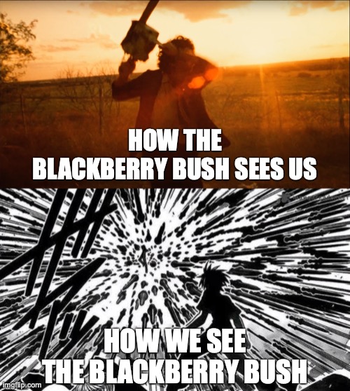 Another In a Long List of Universal Truths | HOW THE BLACKBERRY BUSH SEES US; HOW WE SEE THE BLACKBERRY BUSH | image tagged in memes,texas chainsaw massacre,manga | made w/ Imgflip meme maker